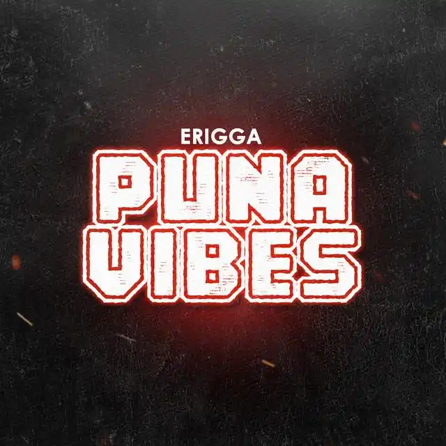 Erigga - Puna Vibes